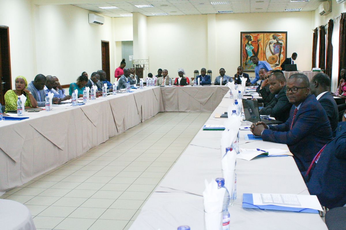 Rapport de l’atelier de lancement du Projet CEMiC et sensibilisation ...